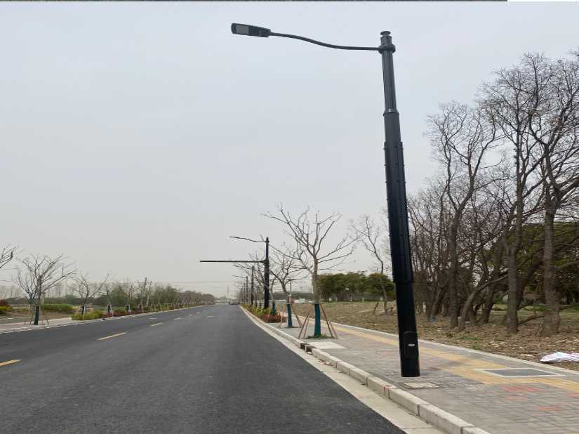 增城区上海综合杆 太阳能路灯工程